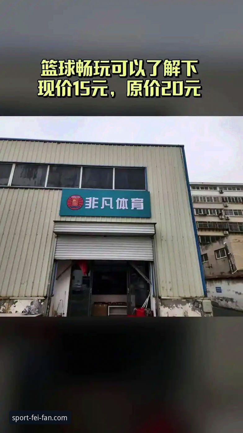 非凡体育平台2026新版实用指南：从下载到登录的完整技巧